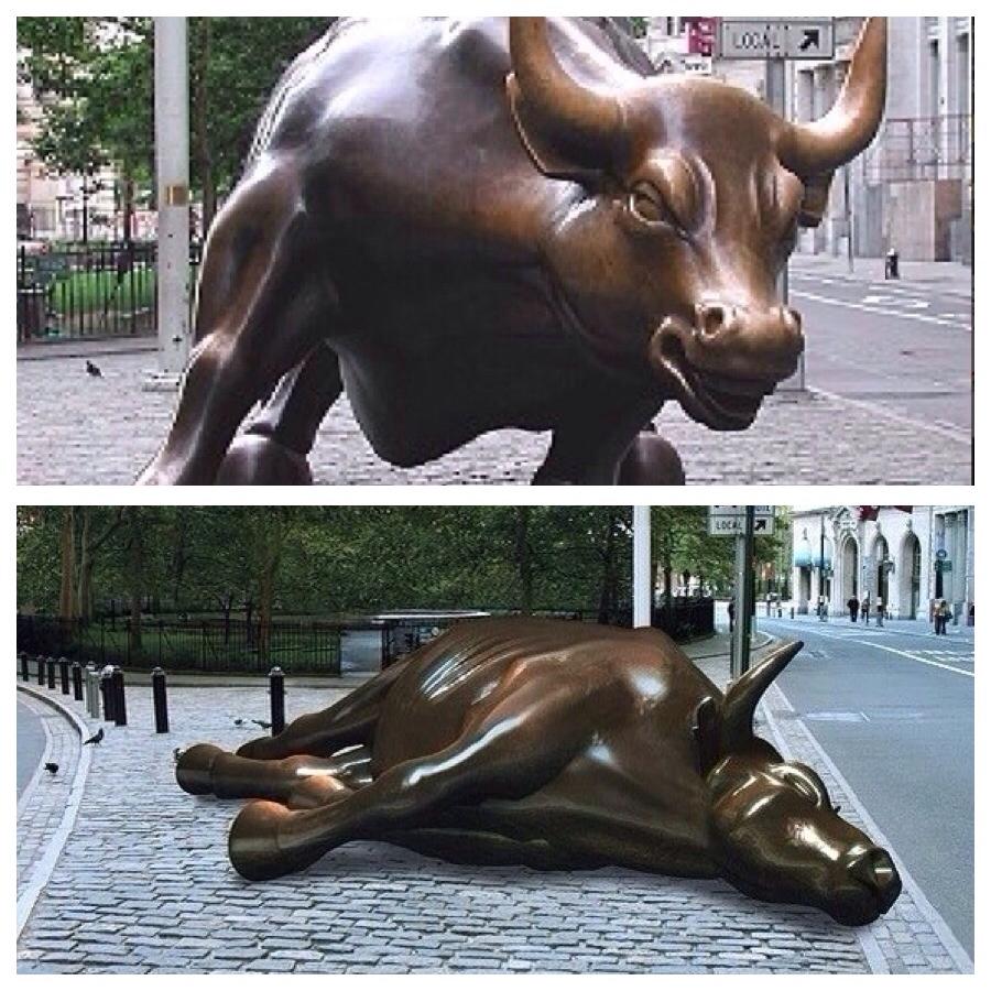 bull